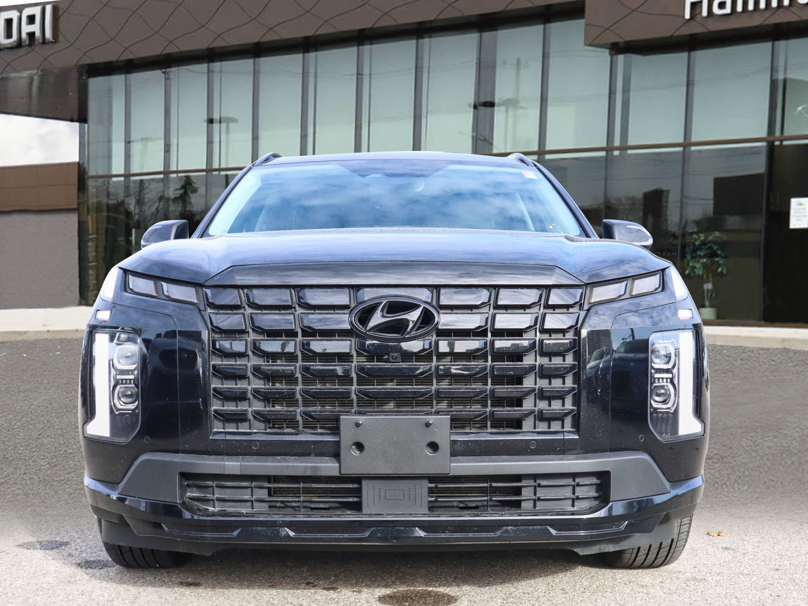 Hyundai Palisade 2025