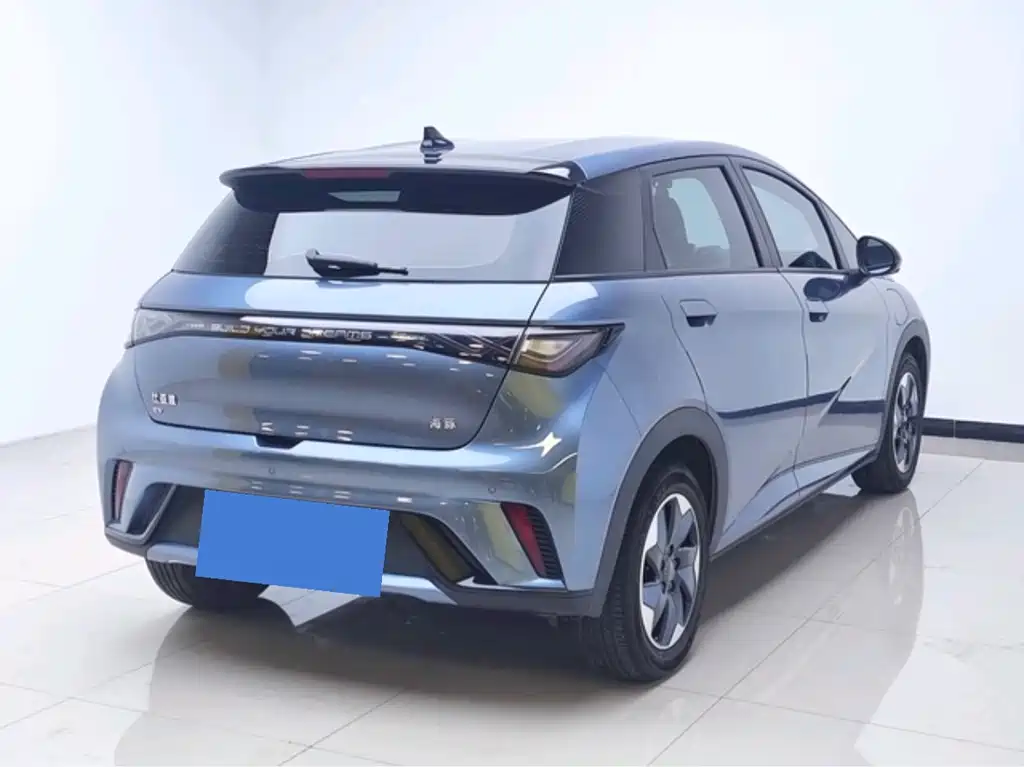 BYD Dolphin 2024