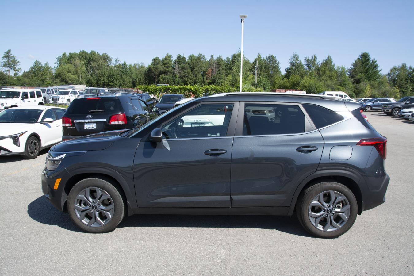 Kia Seltos 2024