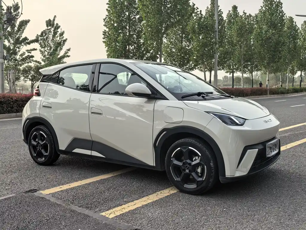 BYD Seagull 2024