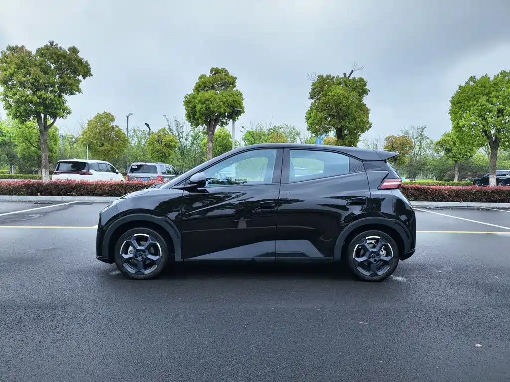 BYD Seagull 2024