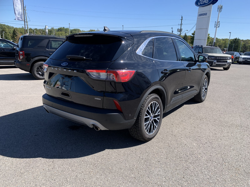 Ford Escape 2022