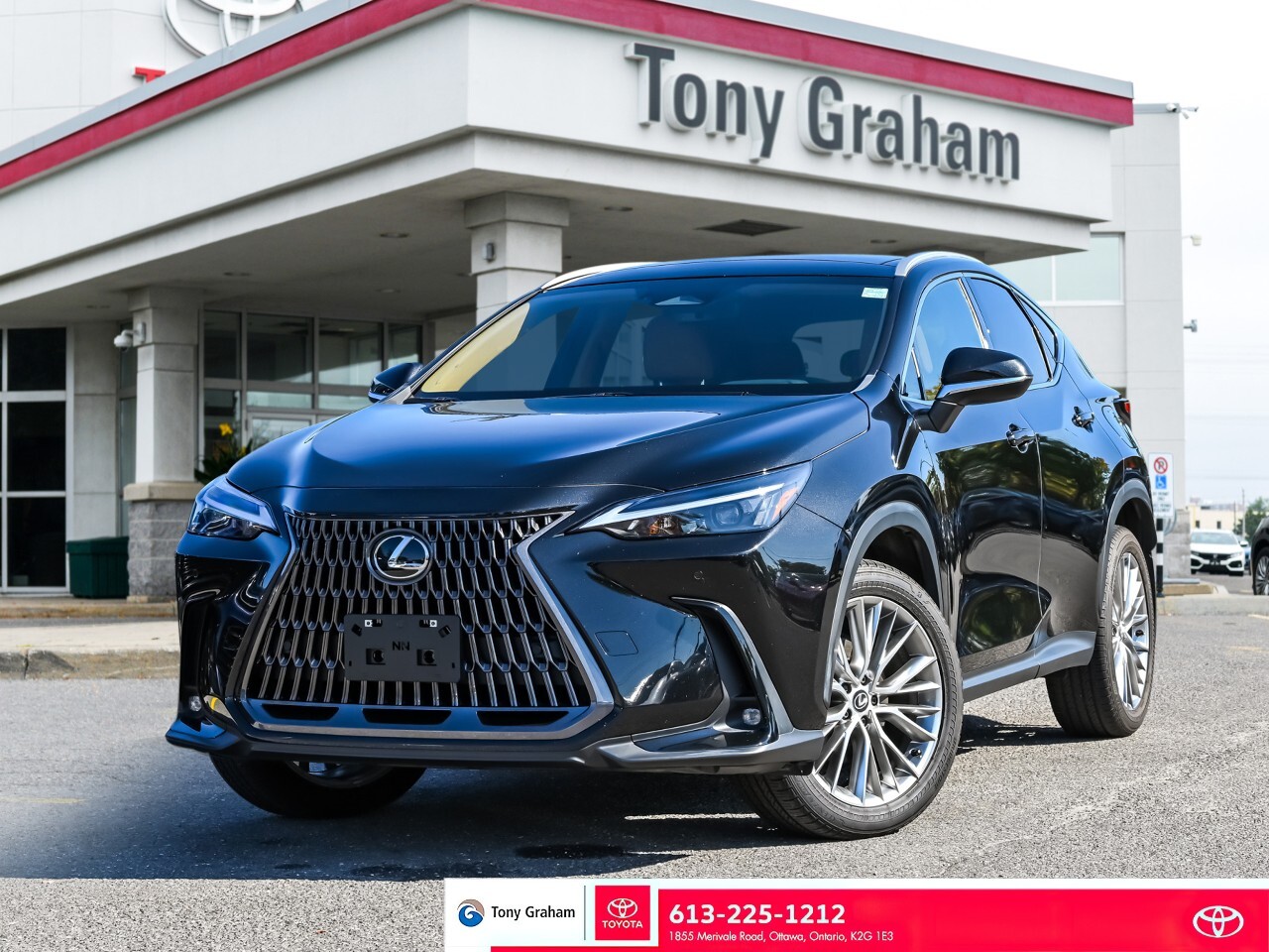 Lexus NX 2024