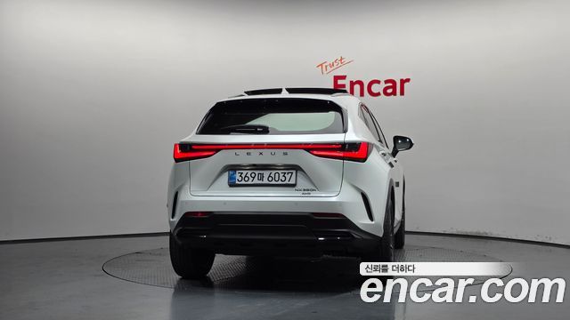 Lexus NX 2024