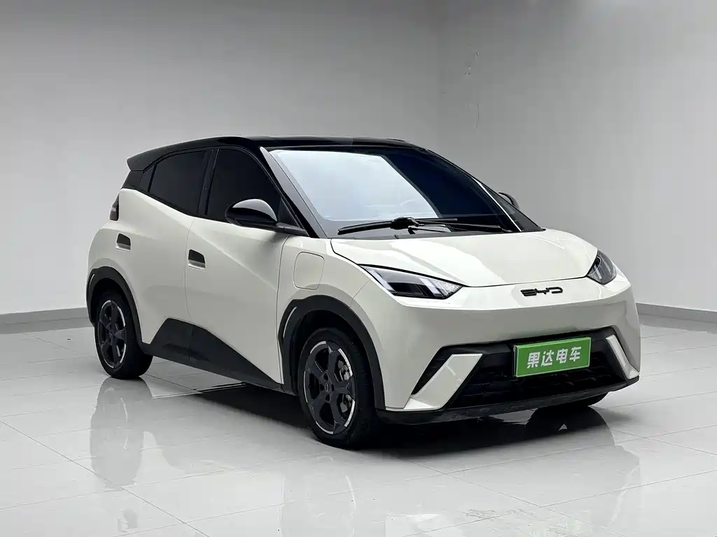 BYD Seagull 2024