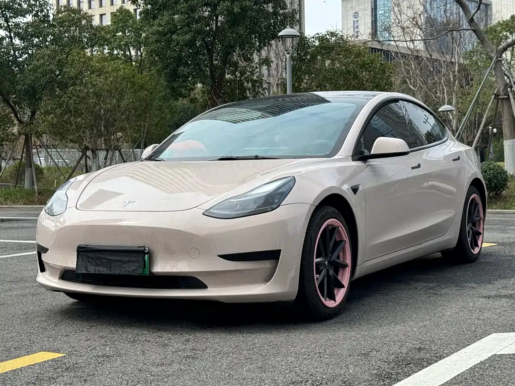 Tesla Model 3 2022