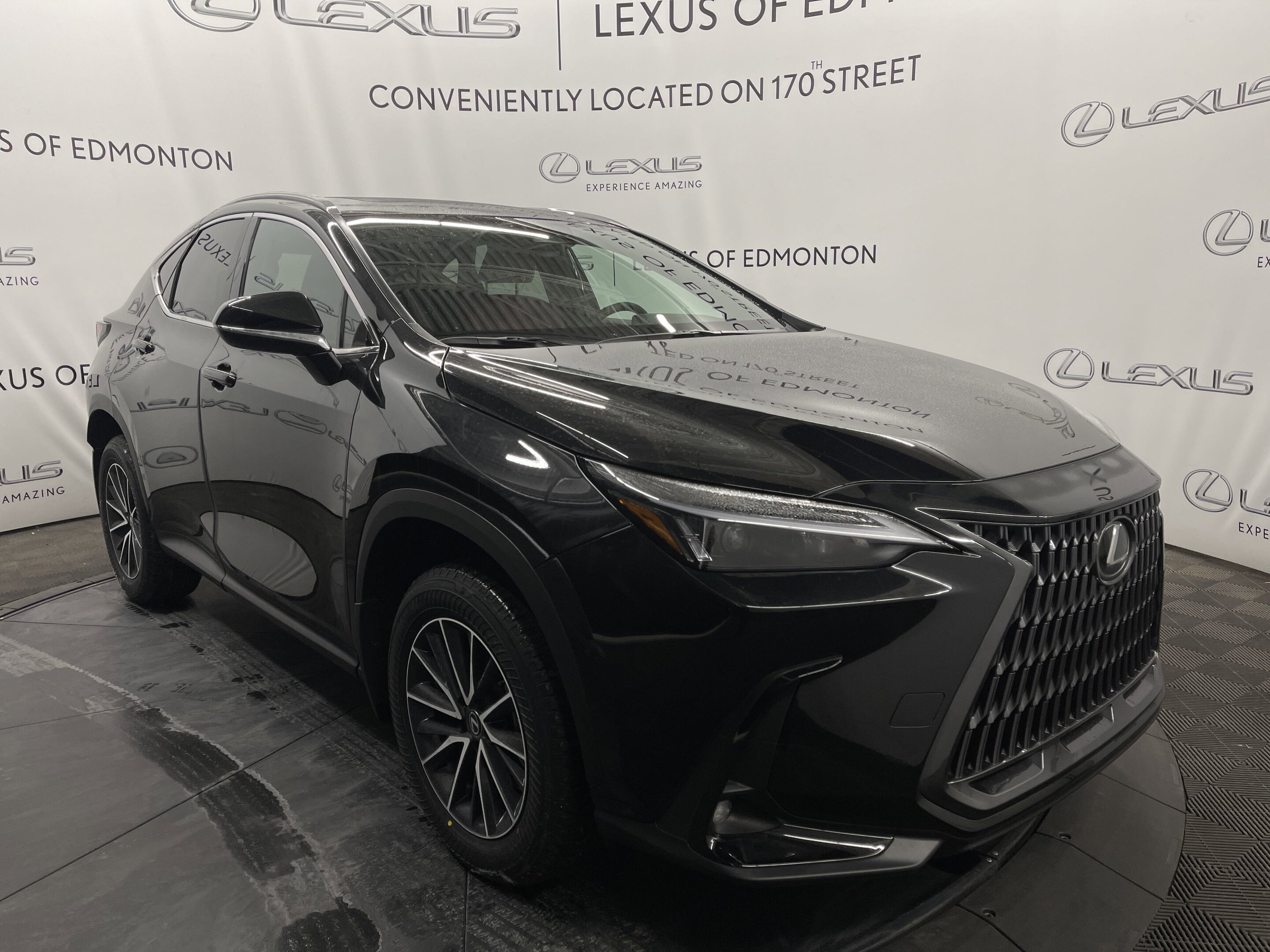 Lexus NX 2025
