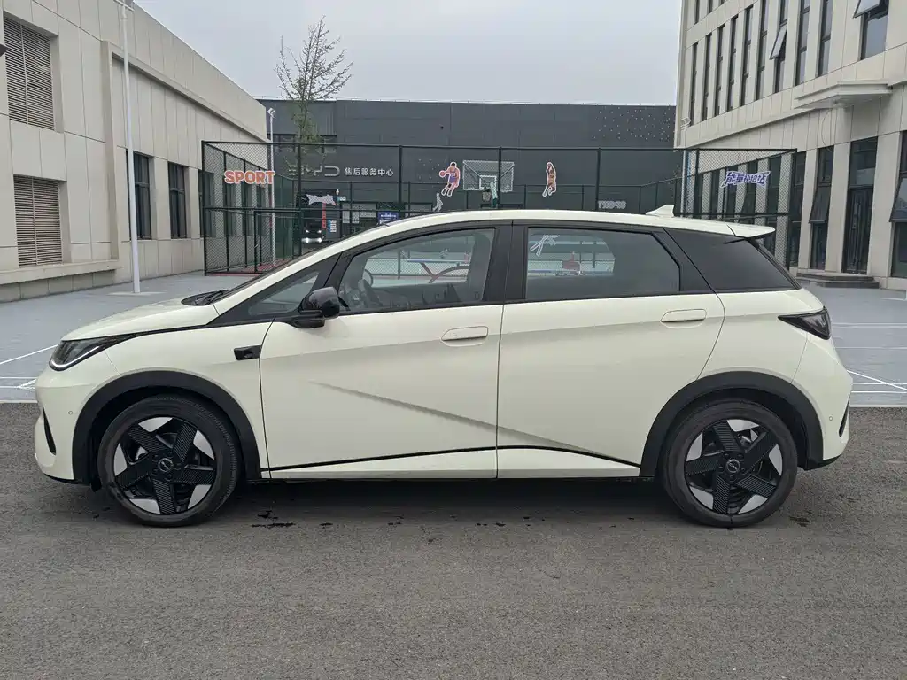 BYD Dolphin 2025
