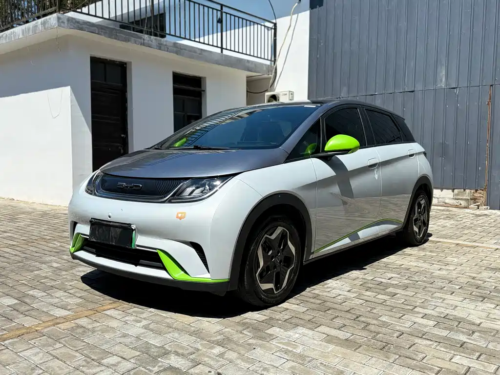 BYD Dolphin 2021