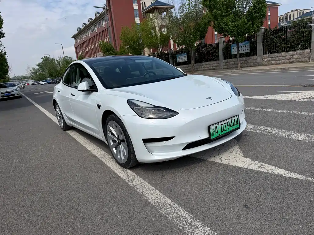 Tesla Model 3 2021