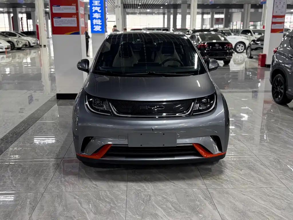 BYD Dolphin 2022