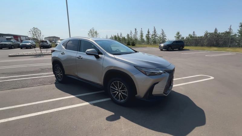 Lexus NX 2024