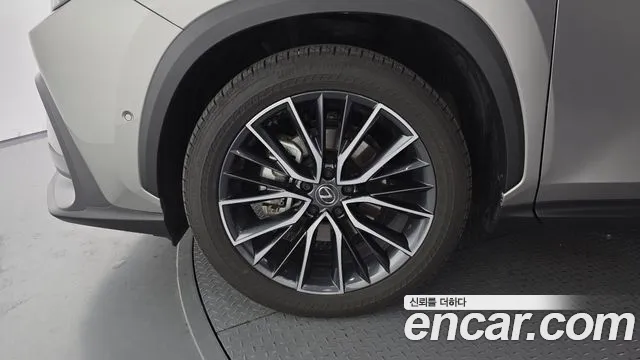 Lexus NX 2025