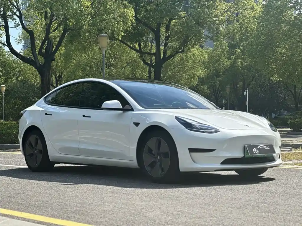 Tesla Model 3 2022