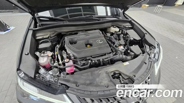Lexus UX 2024