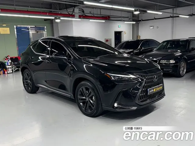 Lexus NX 2025