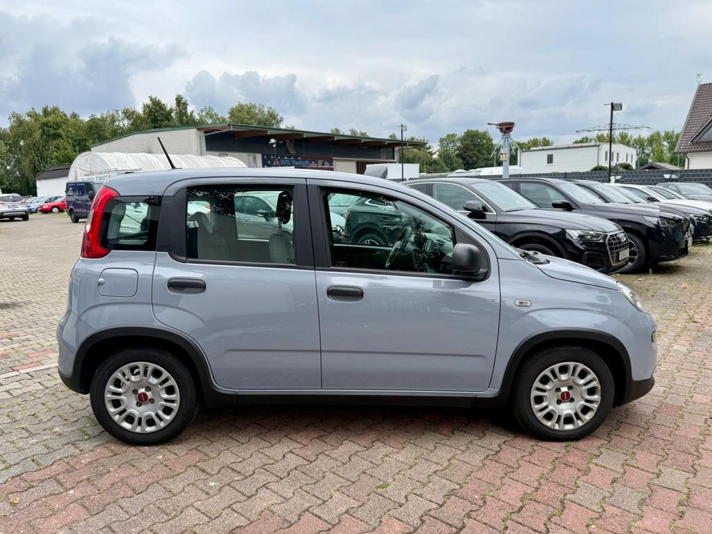 Fiat Panda 2023