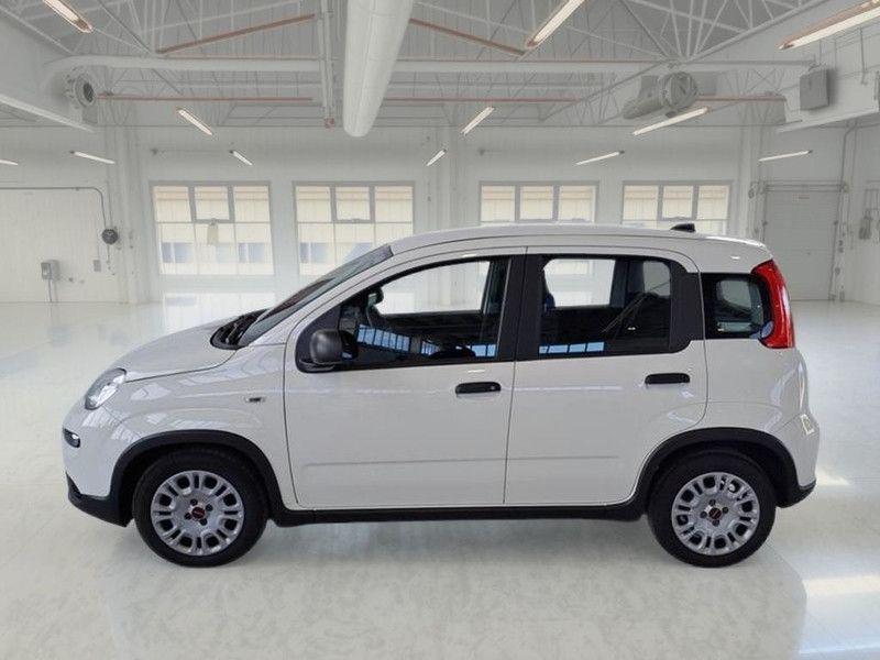 Fiat Panda 2023