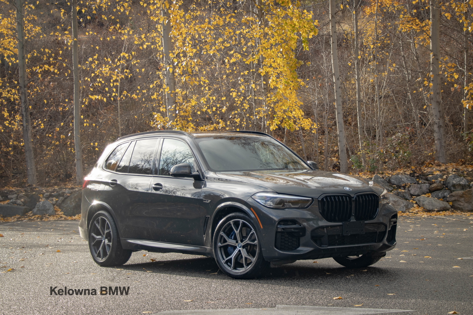 BMW X5 2022