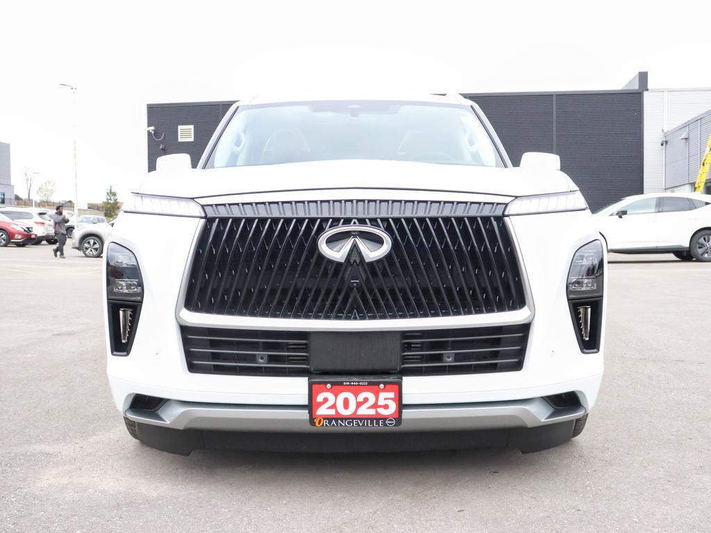 Infiniti QX80 2025