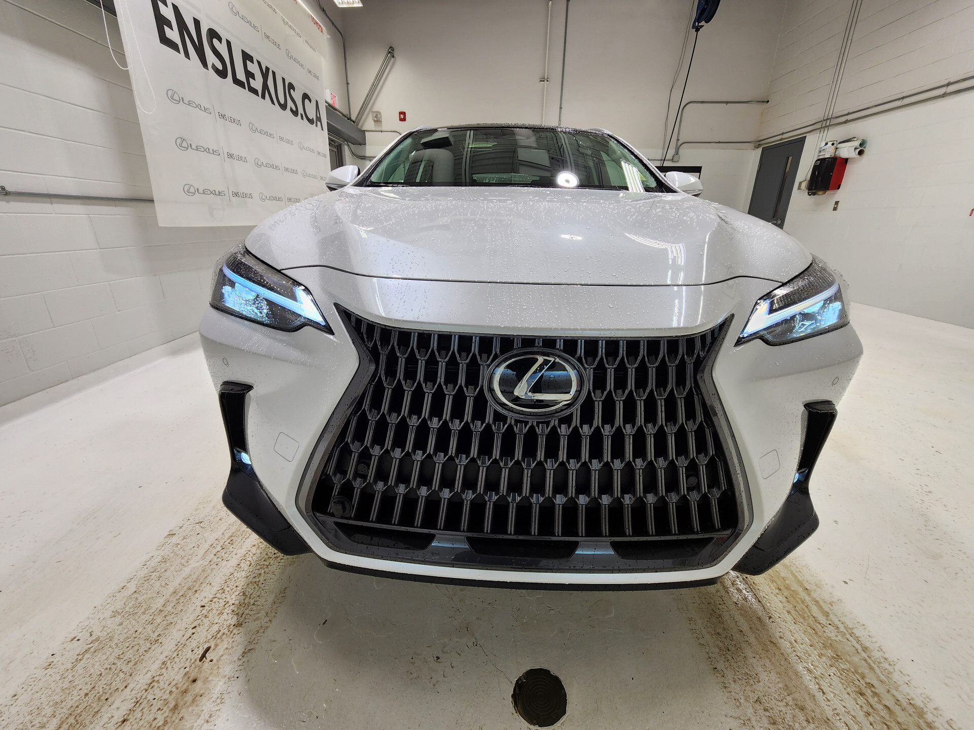 Lexus NX 2024
