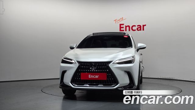 Lexus NX 2024