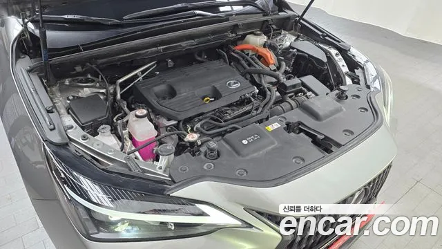 Lexus NX 2023