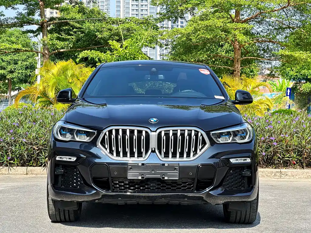 BMW X6 2020