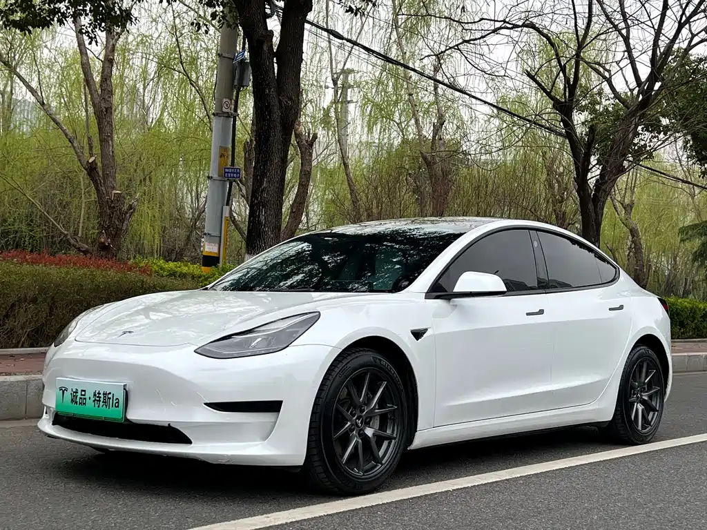 Tesla Model 3 2022