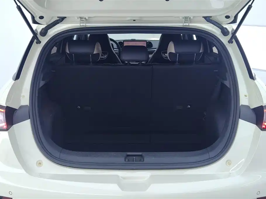 BYD Dolphin 2023