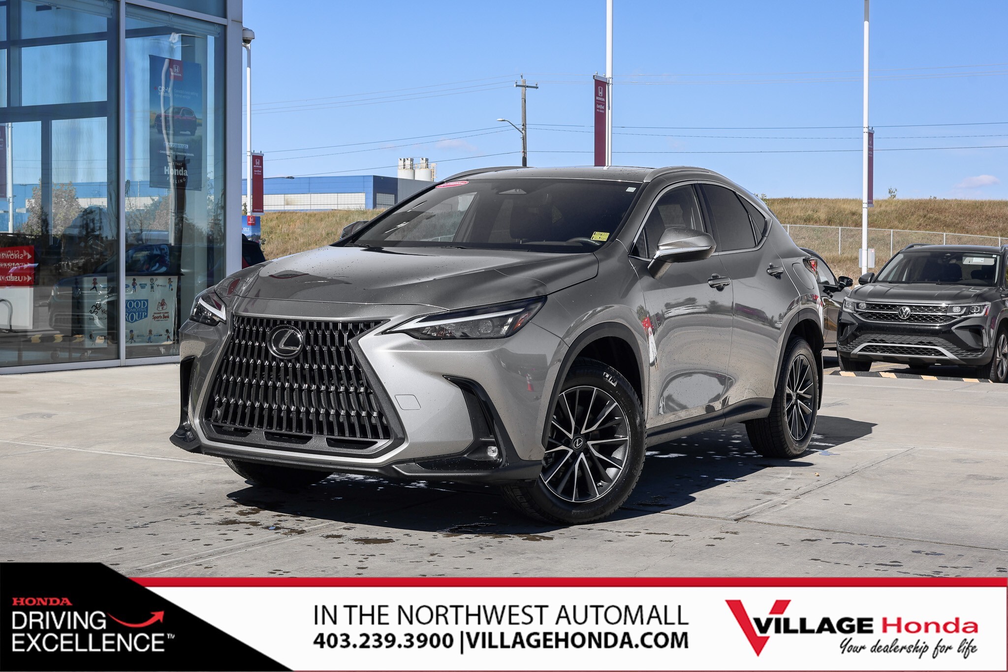 Lexus NX 2023