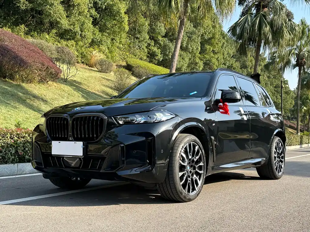 BMW X5 2024
