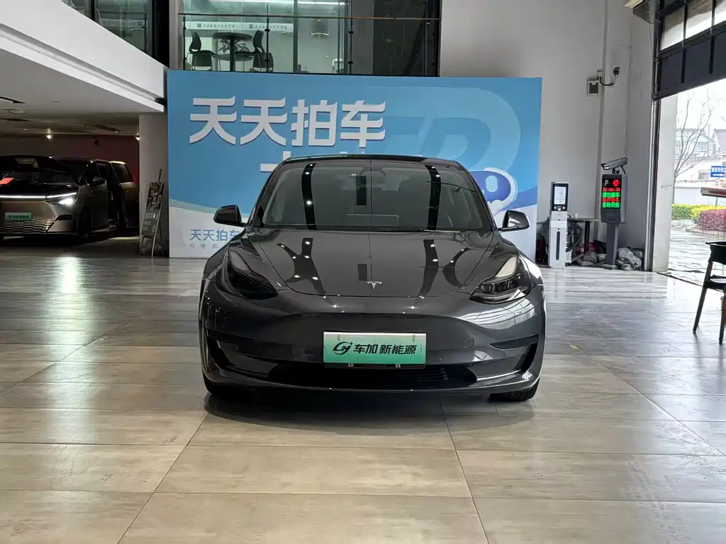 Tesla Model 3 2021