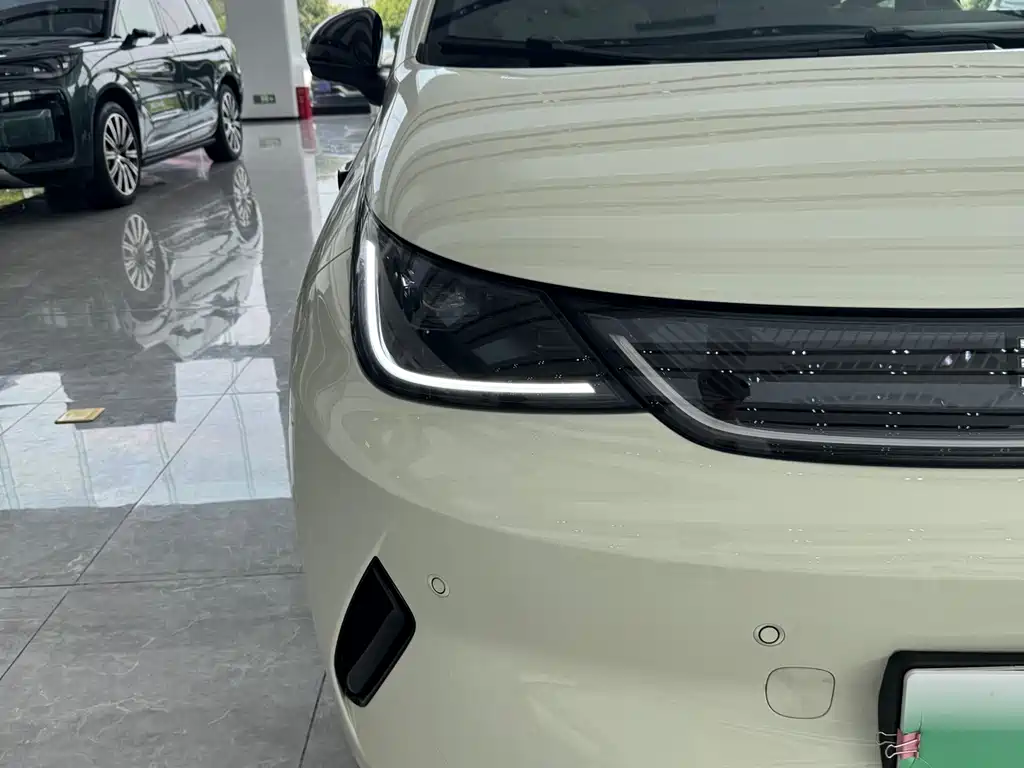 BYD Dolphin 2025