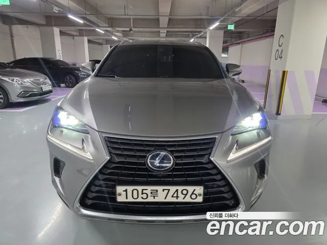 Lexus NX 2020