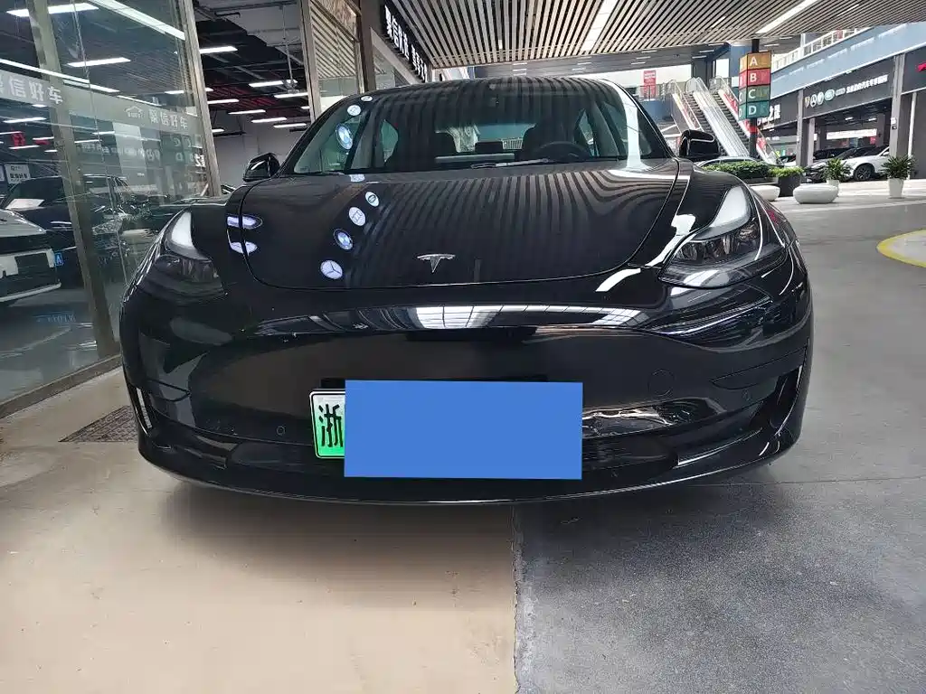 Tesla Model 3 2022