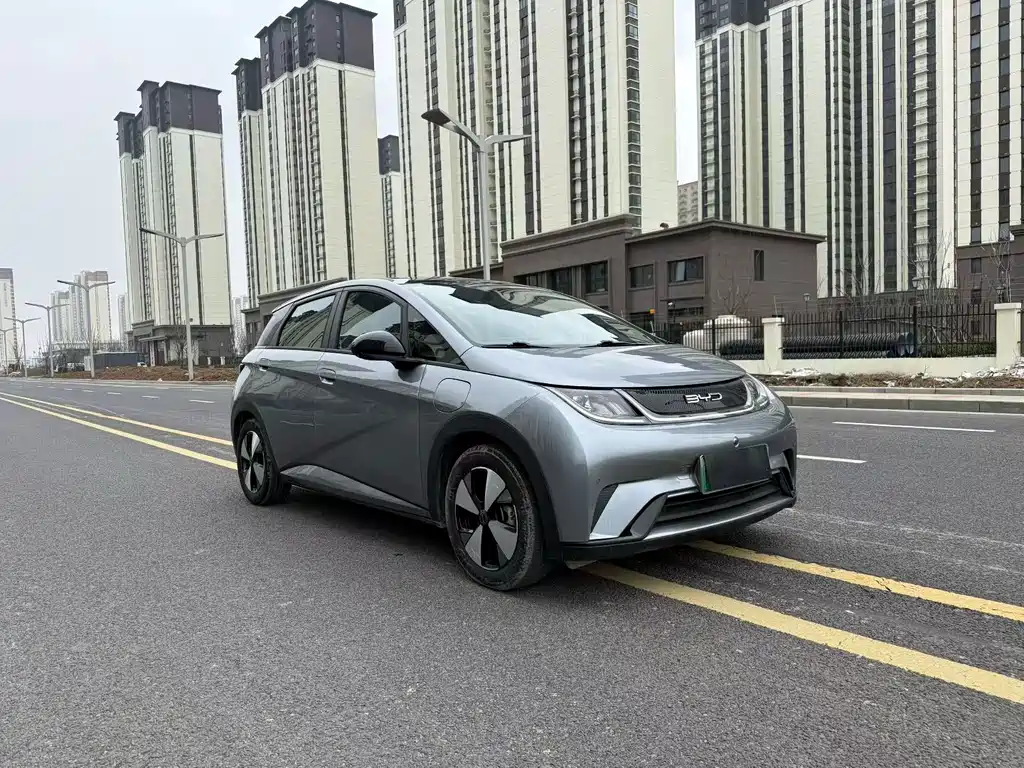 BYD Dolphin 2024