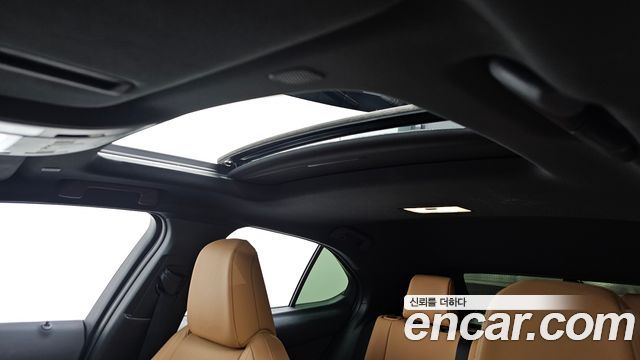 Lexus UX 2024