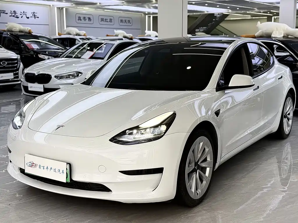 Tesla Model 3 2021