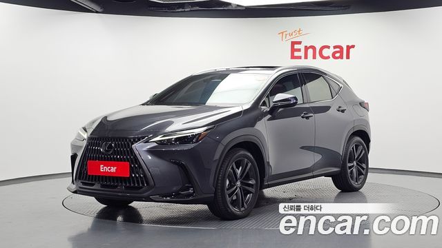 Lexus NX 2025