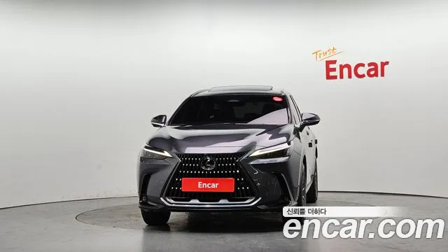Lexus NX 2022