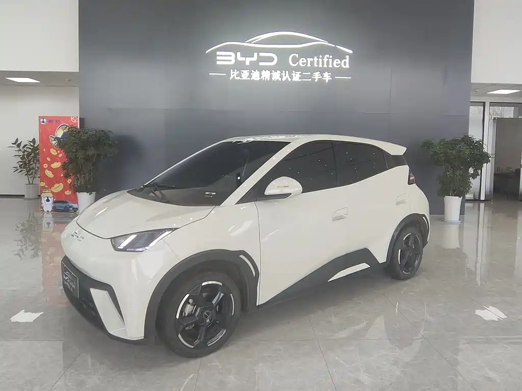 BYD Seagull 2024