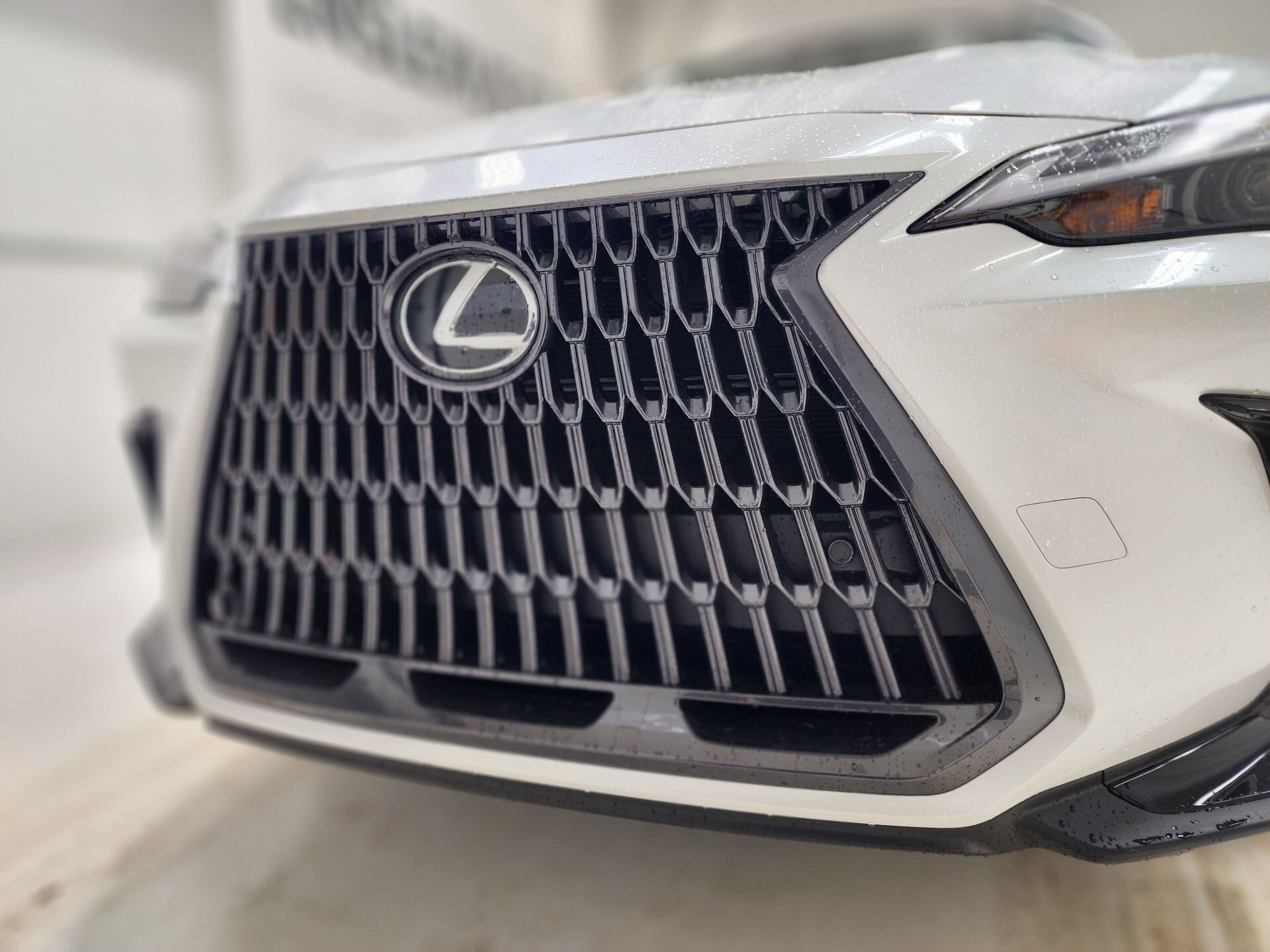 Lexus NX 2024