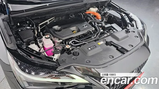 Lexus NX 2023