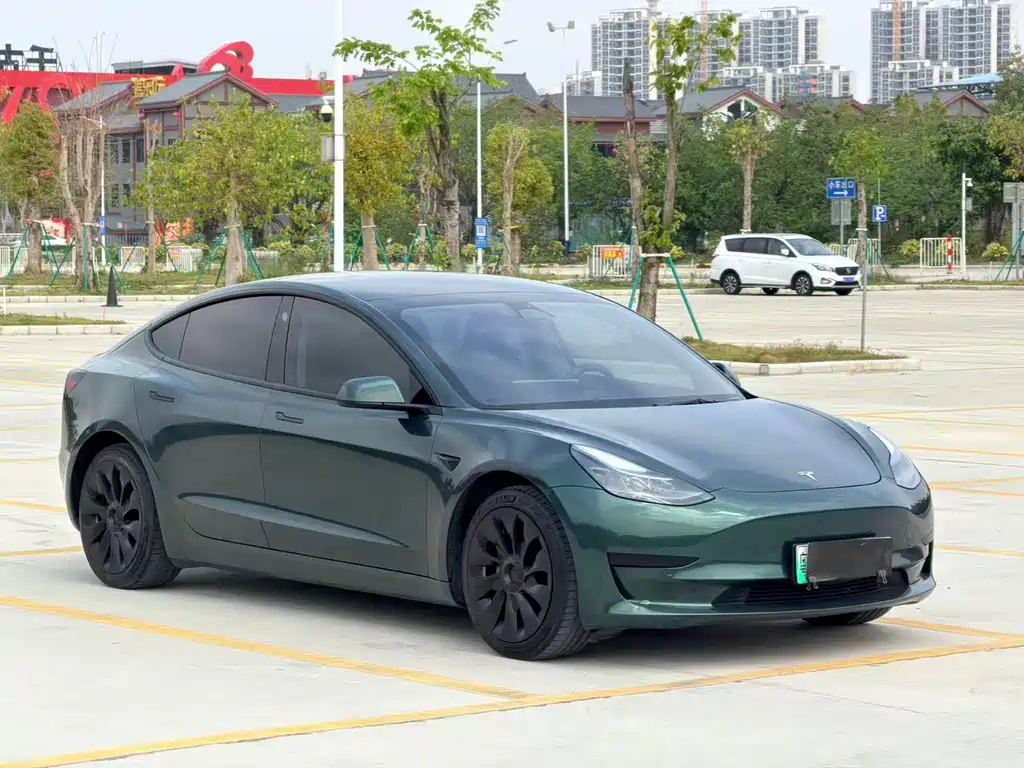 Tesla Model 3 2022
