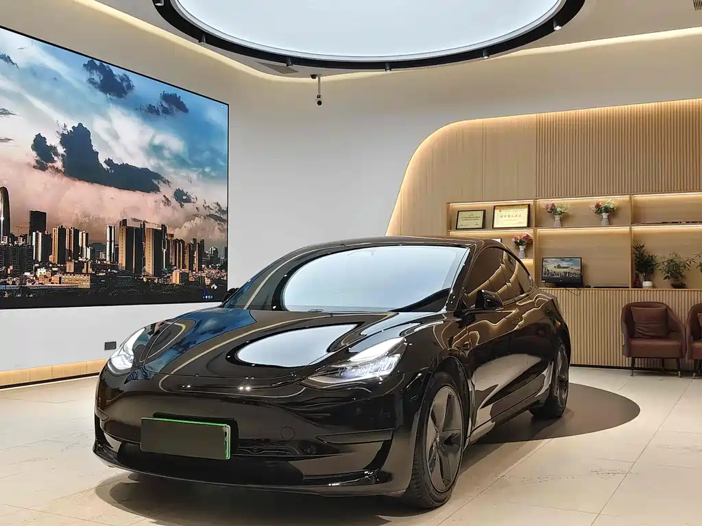 Tesla Model 3 2020