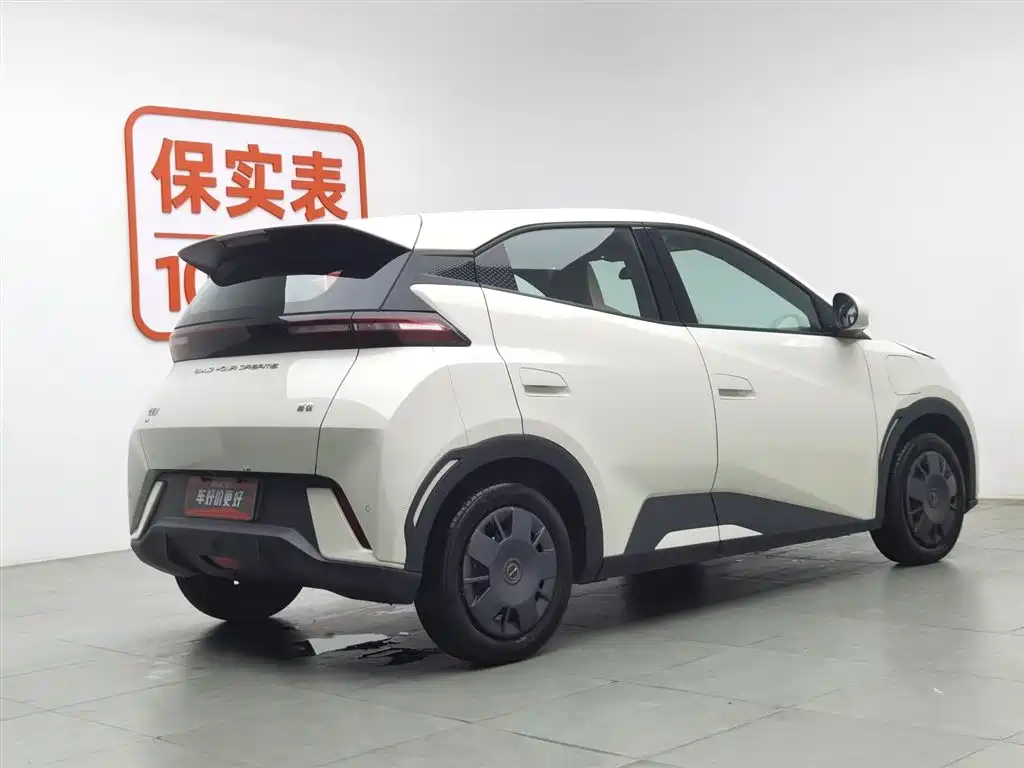 BYD Seagull 2024