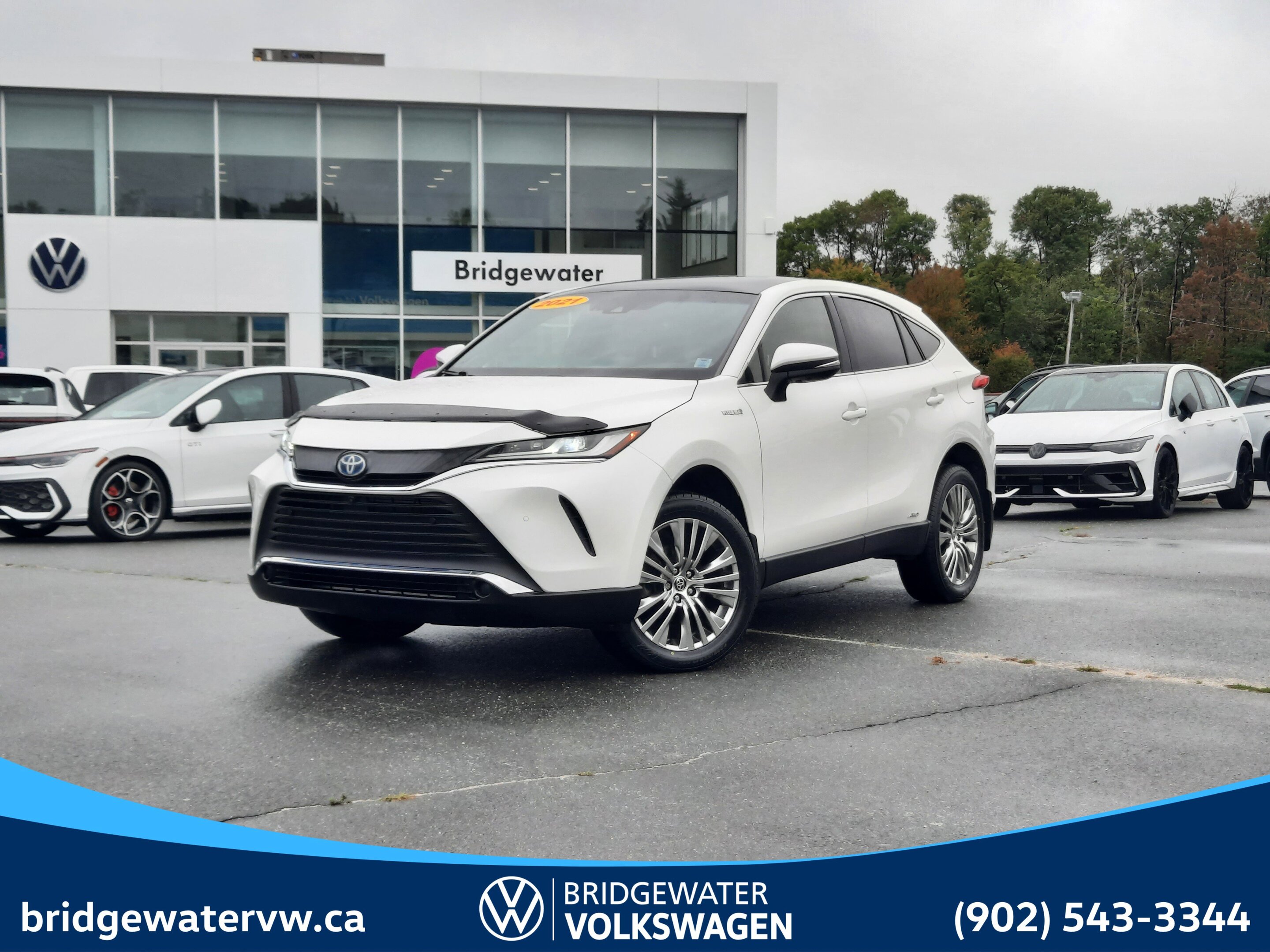 Toyota Venza 2021
