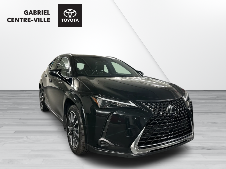 Lexus UX 2024