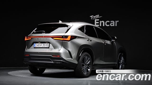 Lexus NX 2025